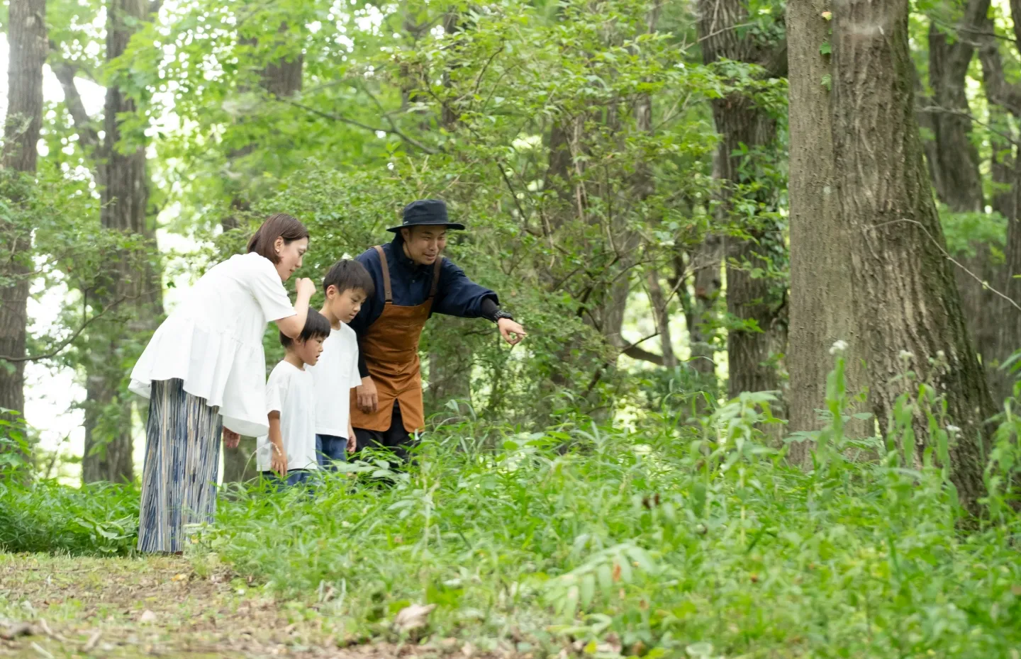 Play Forest