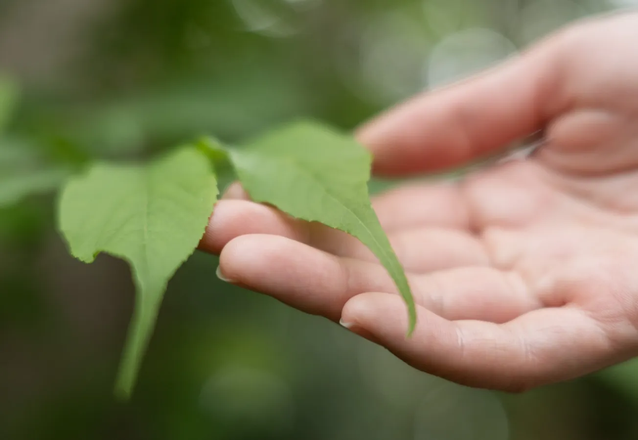 Nature Positive