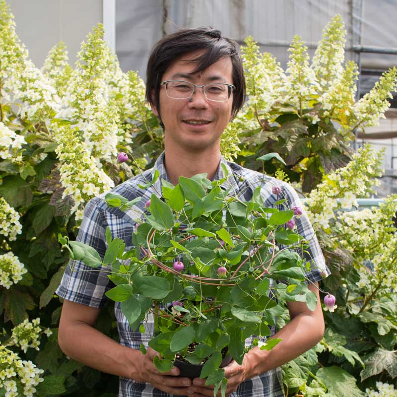 写真: 育種家 関口さん