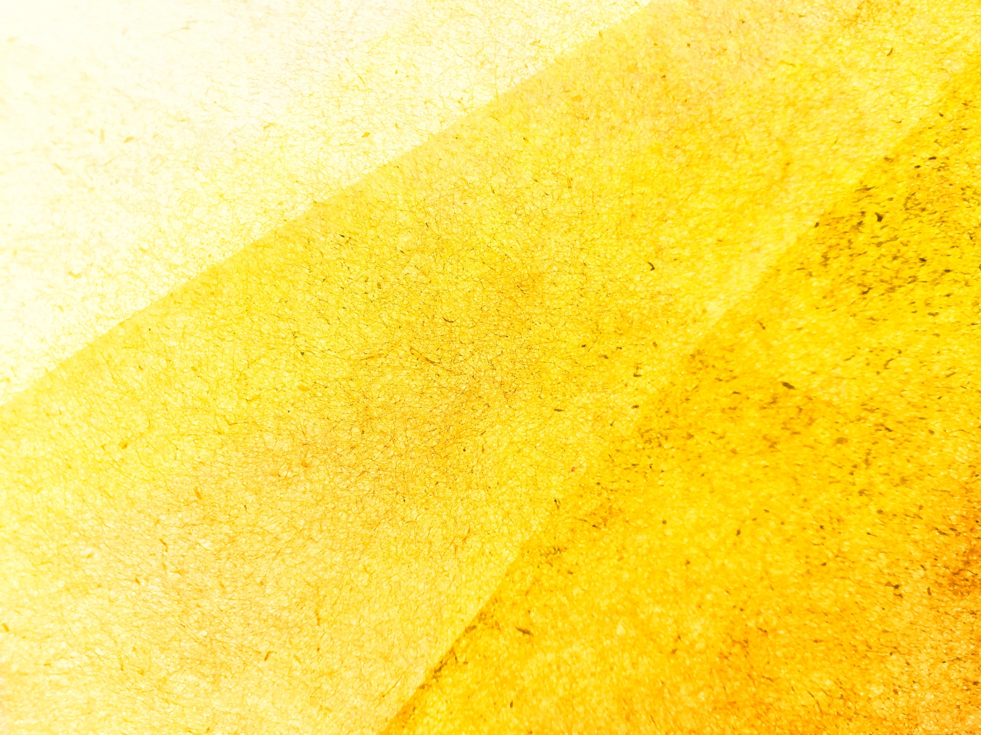 サムネイル: 【毎日開催】和紙を使ったフラワーベース作り