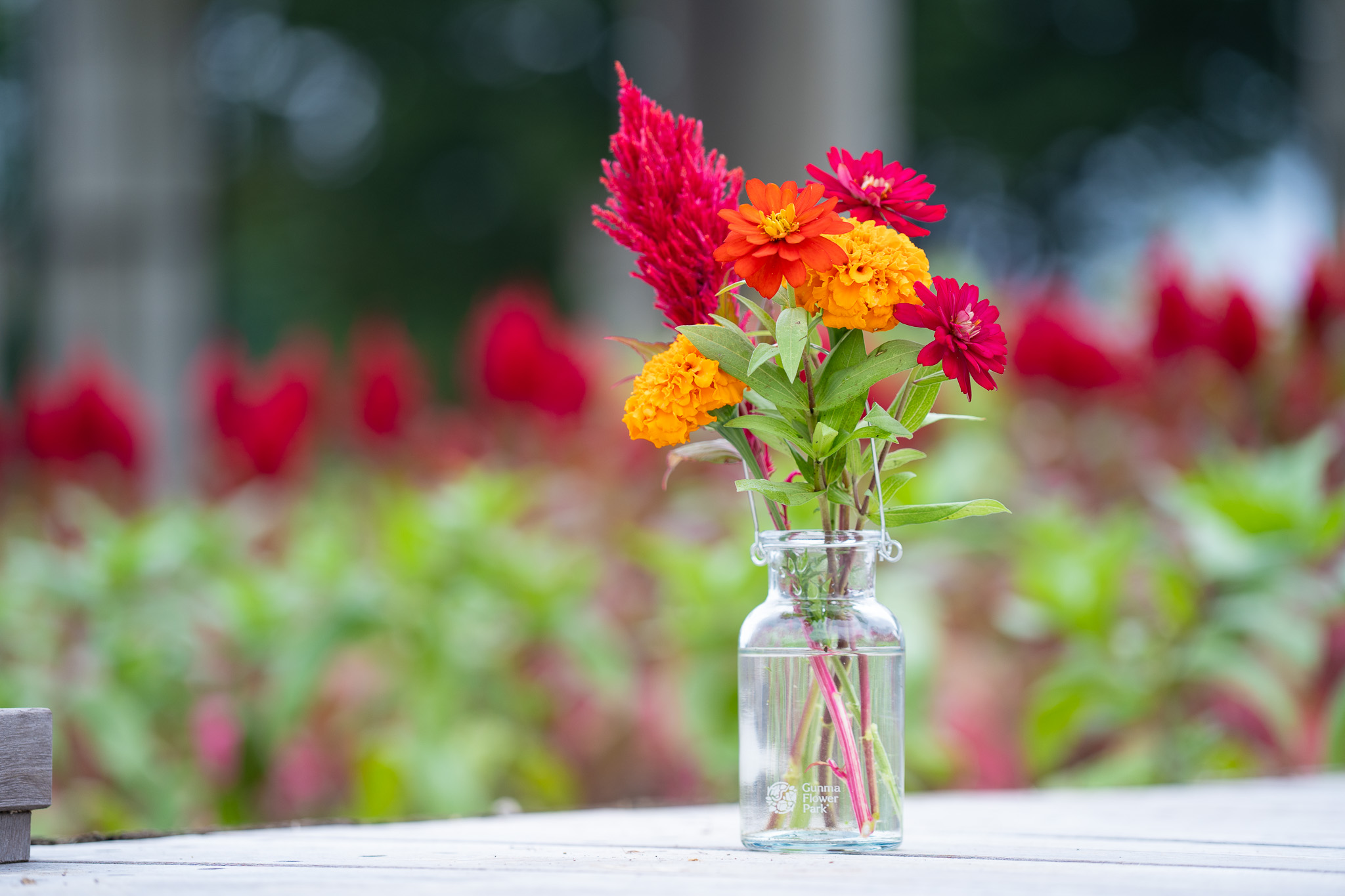サムネイル: 【毎日開催】秋の草花の花摘み