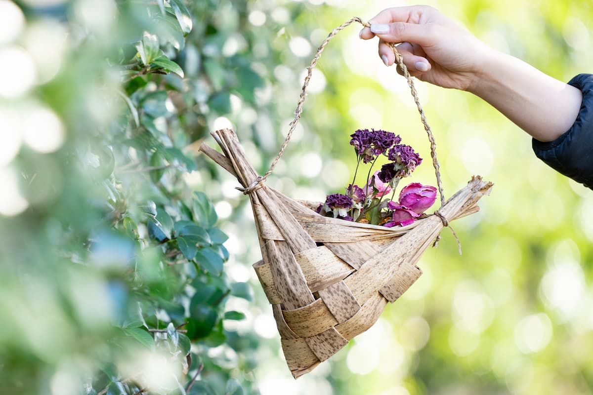 サムネイル: 【10月25.26.28日限定 】お茶付き竹皮花かごづくり byでんえもん前島先生