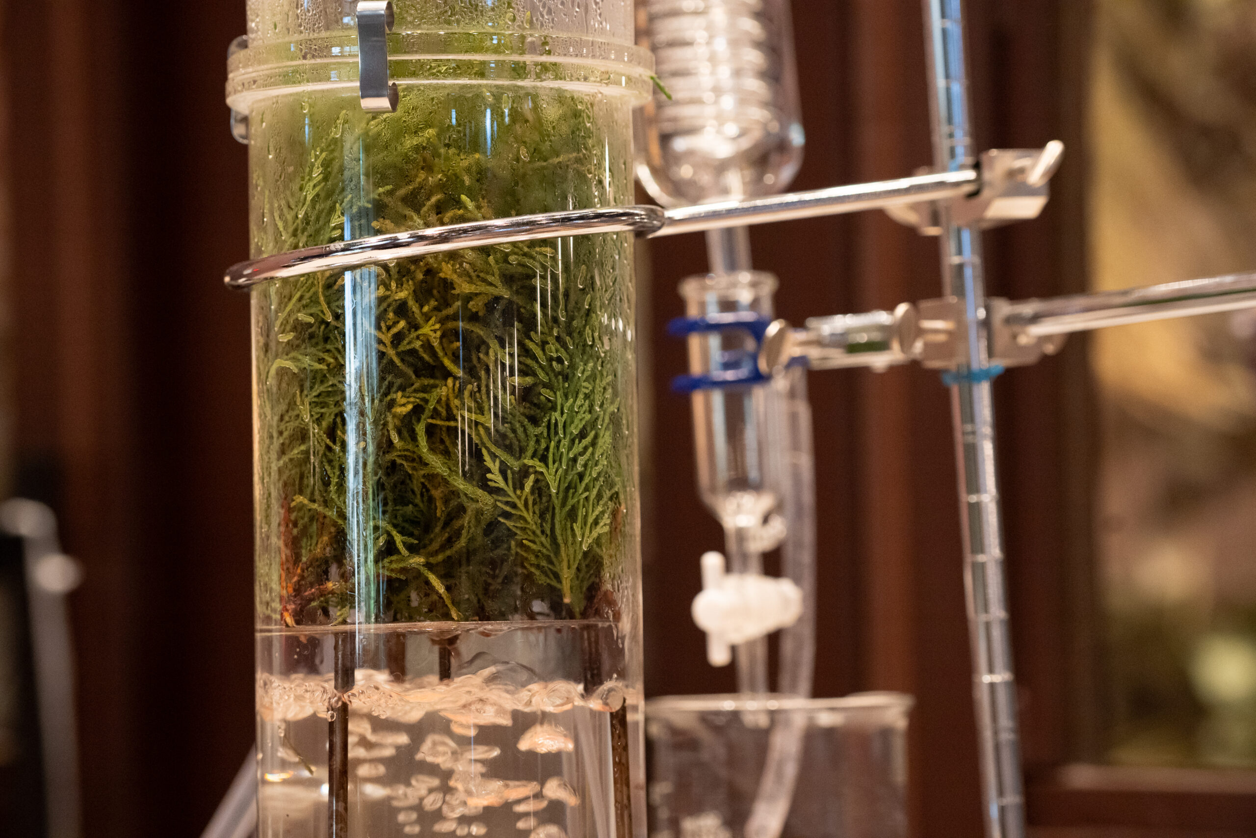 サムネイル: 森の香りのアロマミスト(年パス割対象)