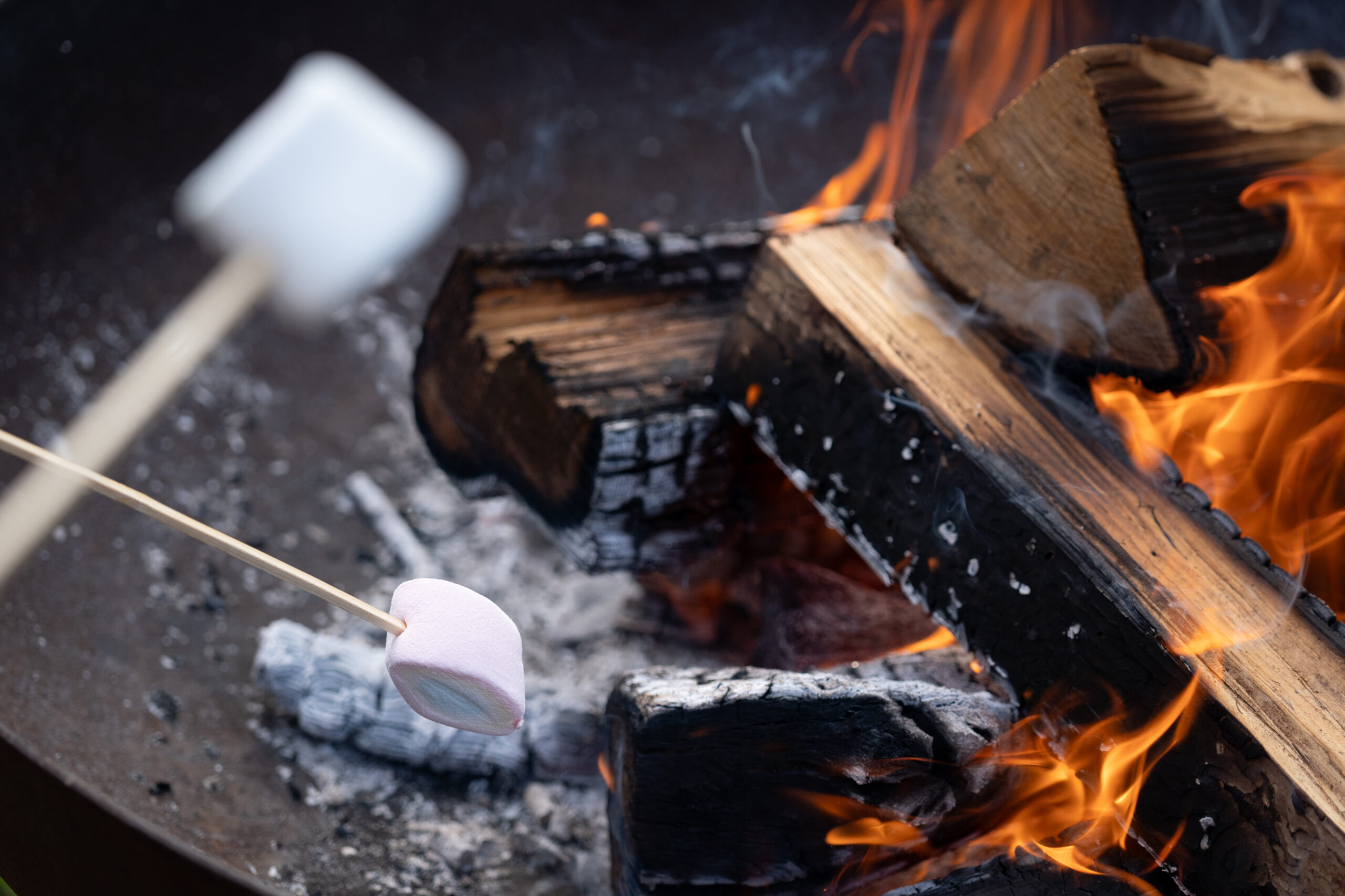 サムネイル: 【冬季限定】ミナモの池のまわりに焚き火スペースが登場します。