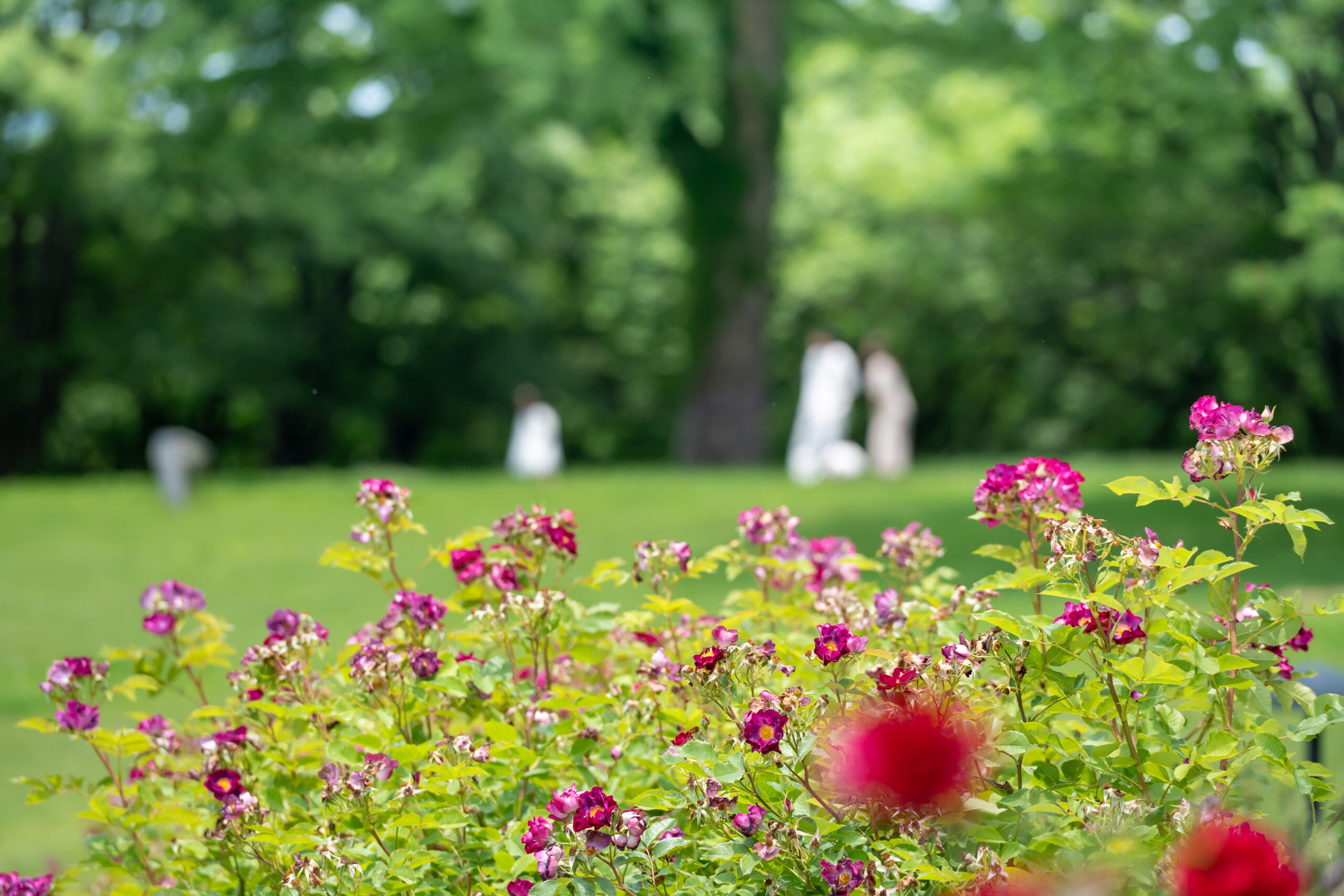 サムネイル: 【冬季期間】前橋駅発バス運行