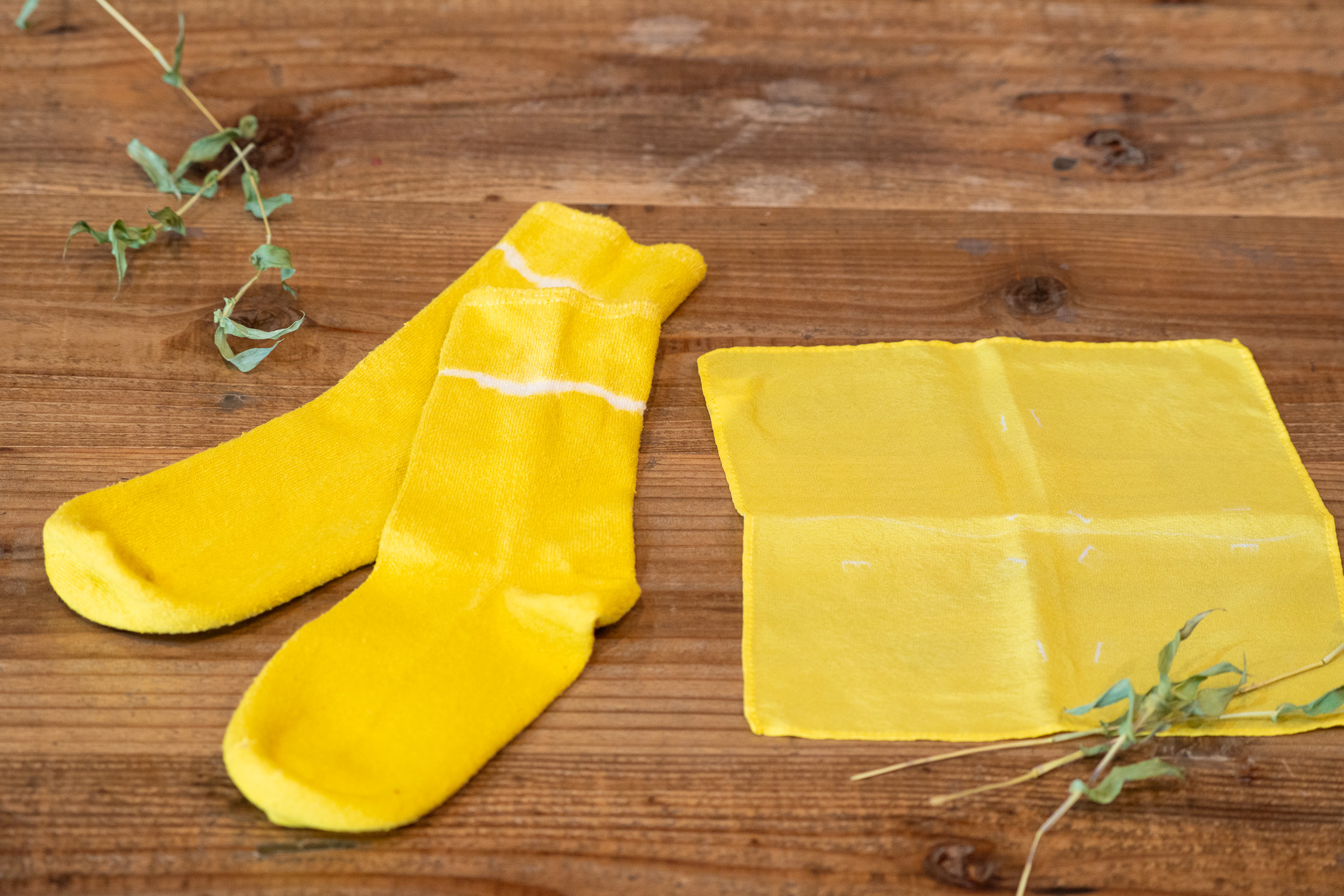 サムネイル: 【1月17(土)18(日)開催】こぶな草の草木染め