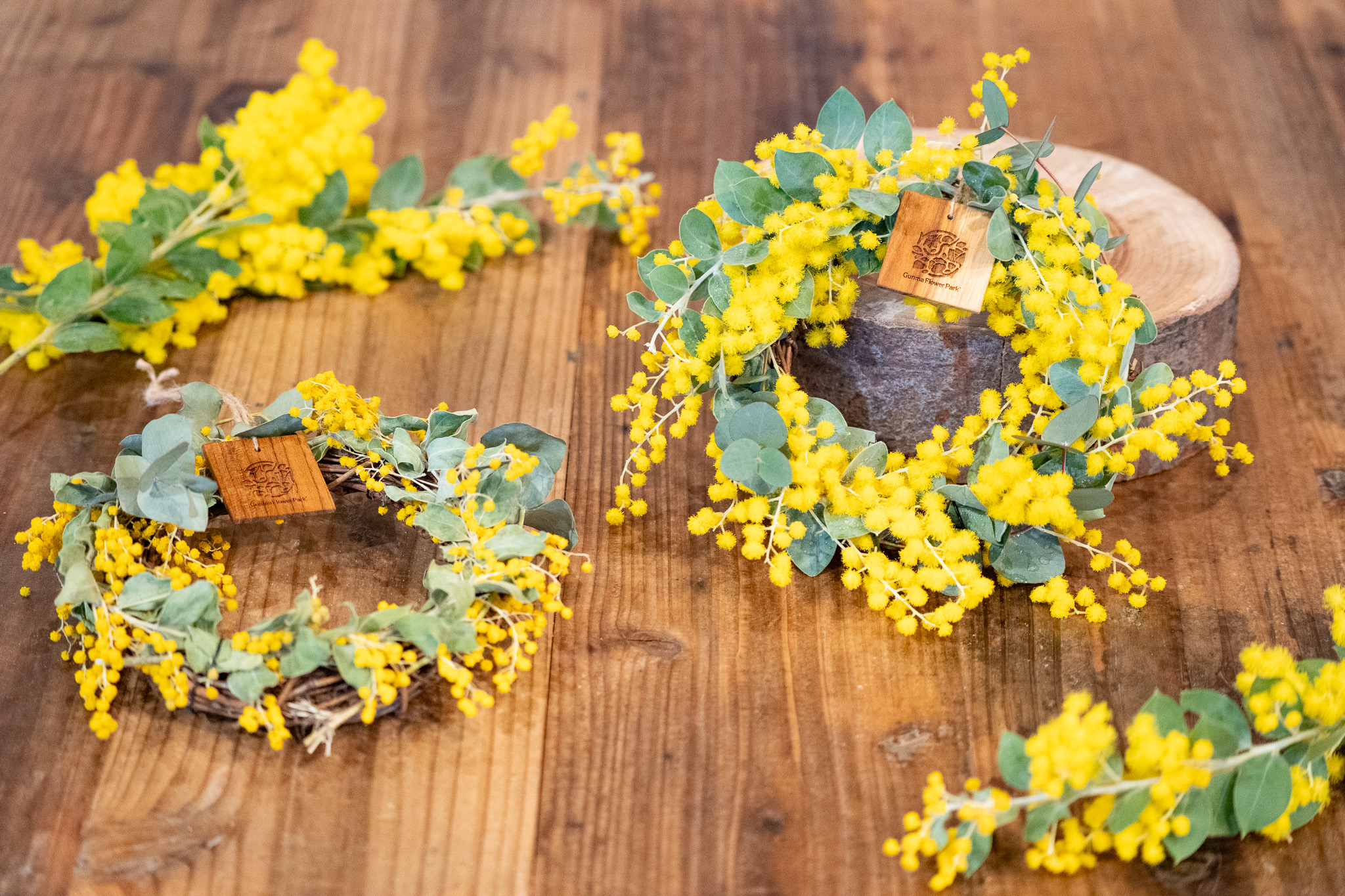 サムネイル: ミモザのフレッシュリース(年パス割対象)