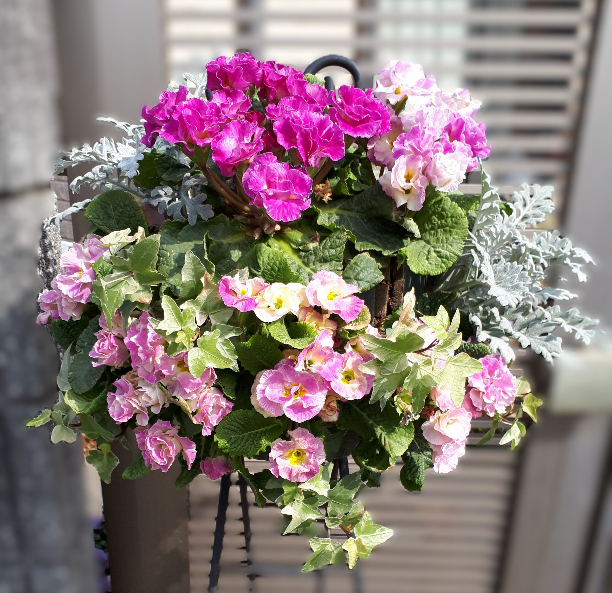 サムネイル: ハンギングバスケット作り