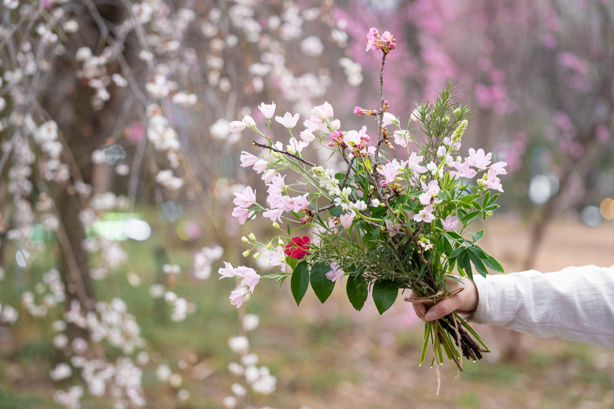サムネイル: 桜のスプリングブーケ