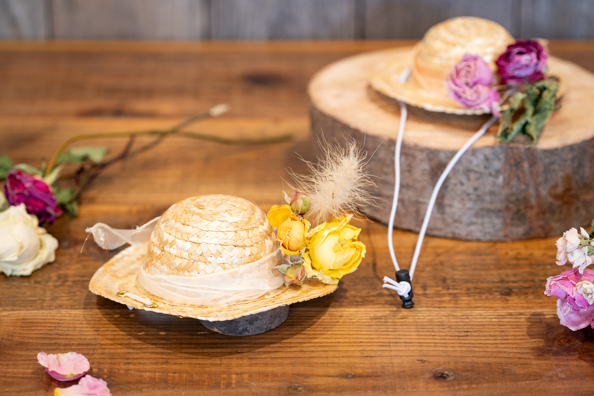 サムネイル: フォトグラファーによるワンちゃんの記念撮影付き！ドライフラワーで飾るワンちゃん用麦わら帽子作り