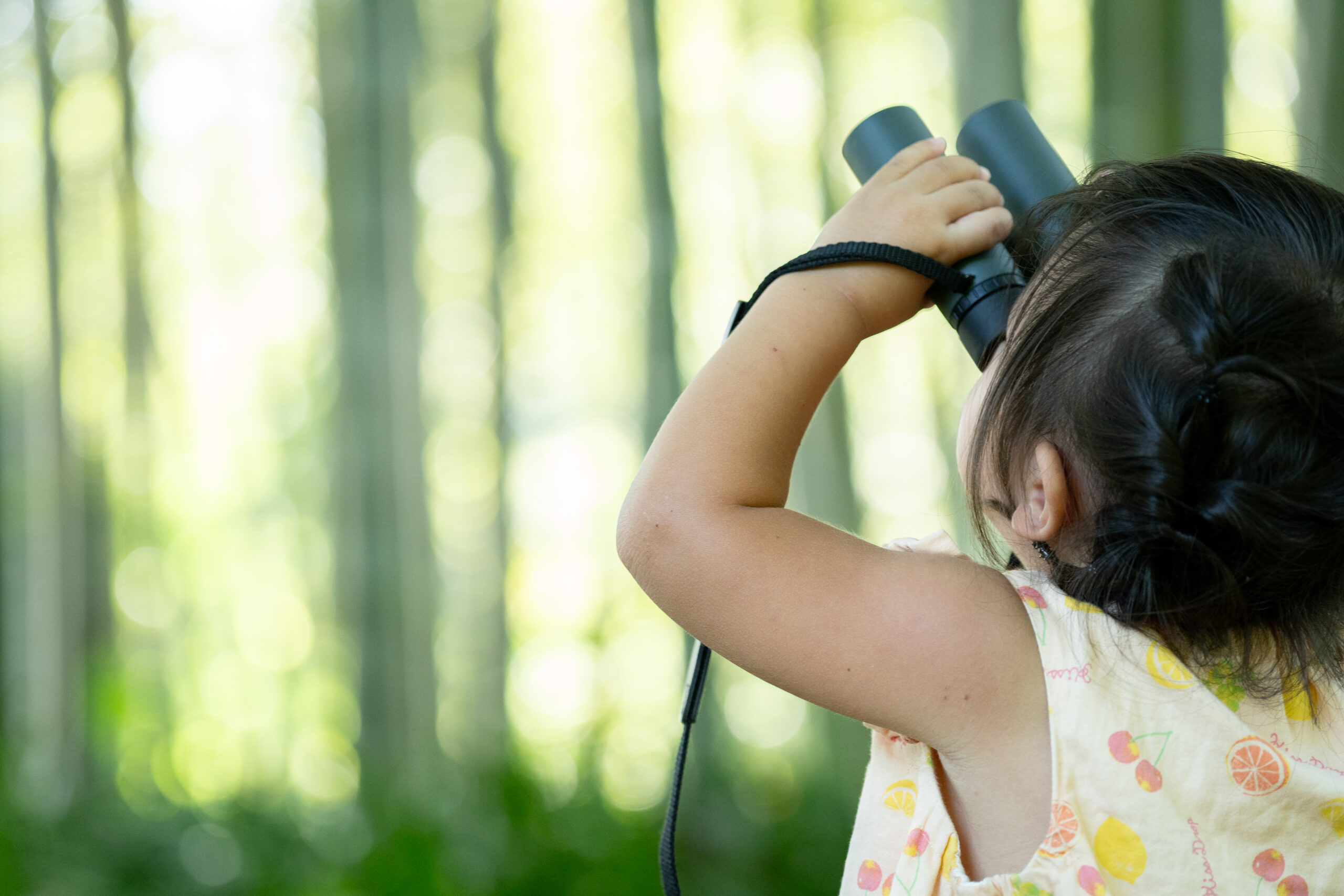 サムネイル: ネイチャーポジティブイベントVol.3　野鳥観察会
