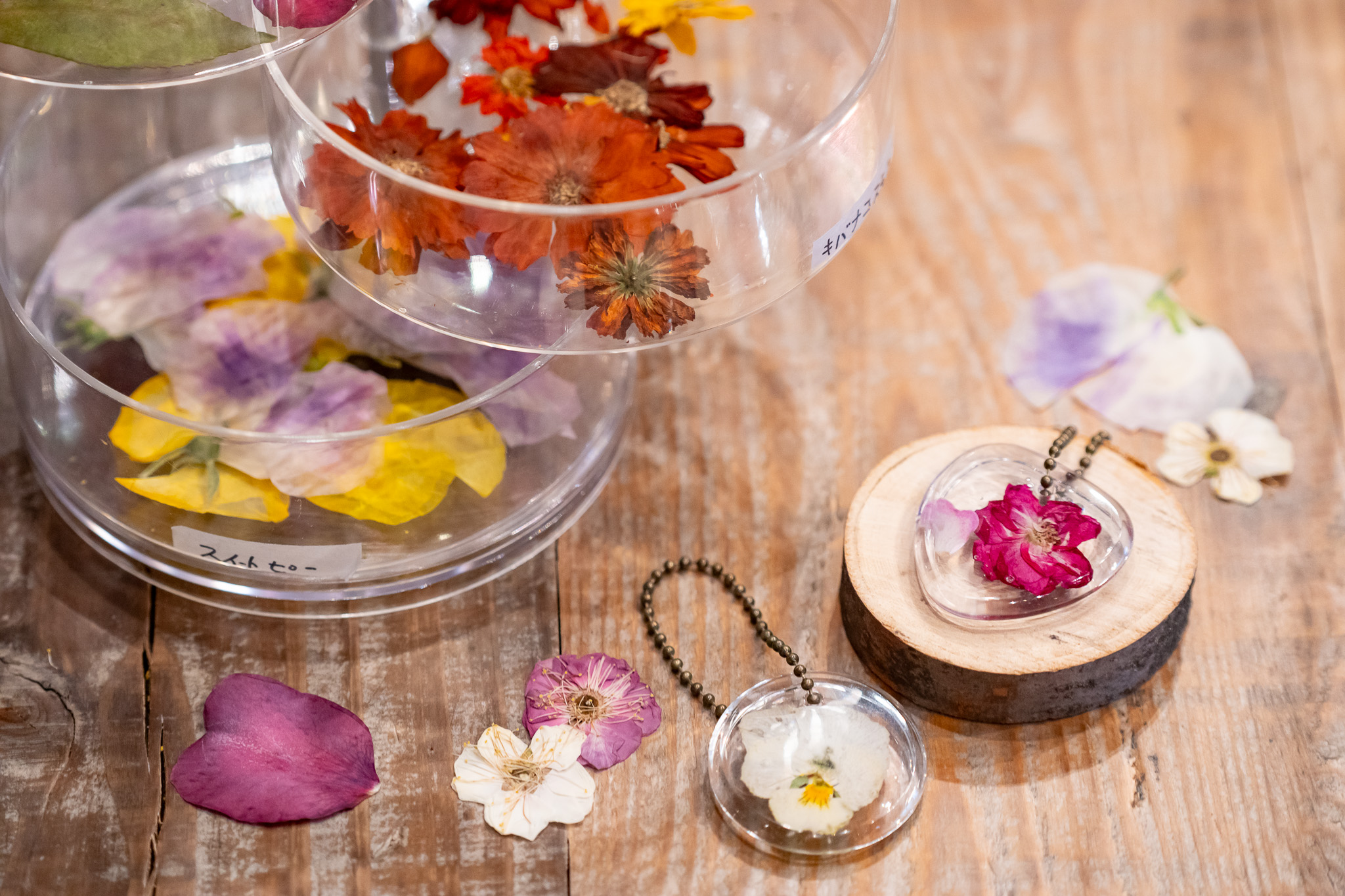 サムネイル: ボタニカルバックチャーム