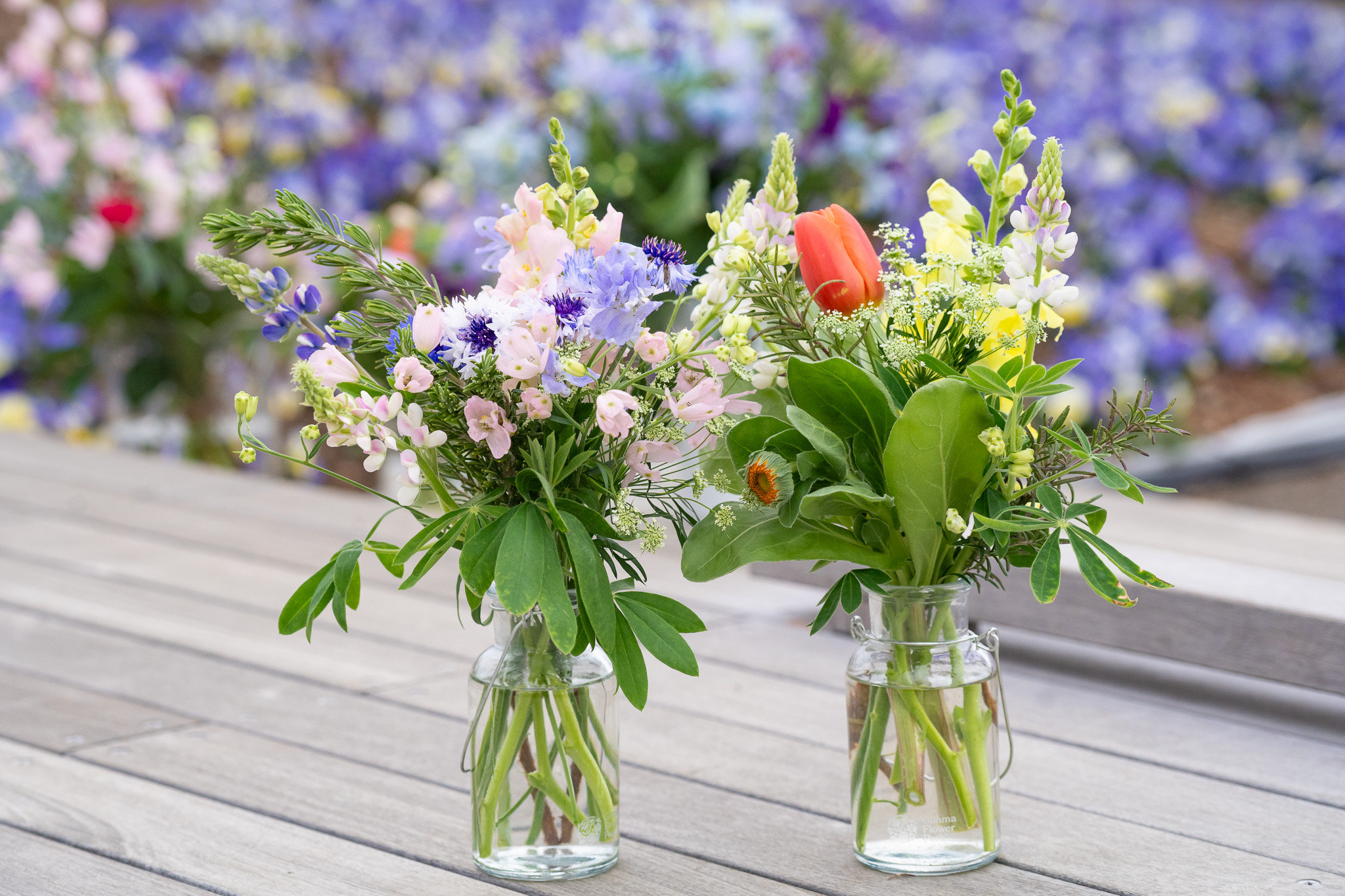 サムネイル: 一年草の花摘み