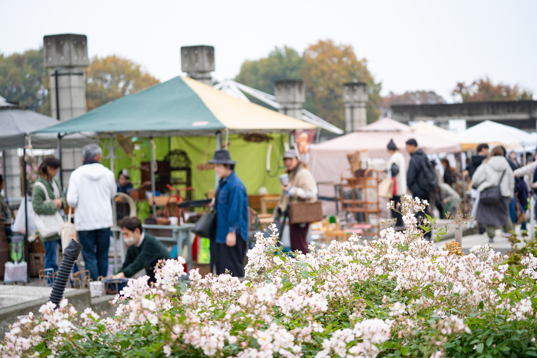 サムネイル: 4/25・26開催！大人気マルシェ「古花市」