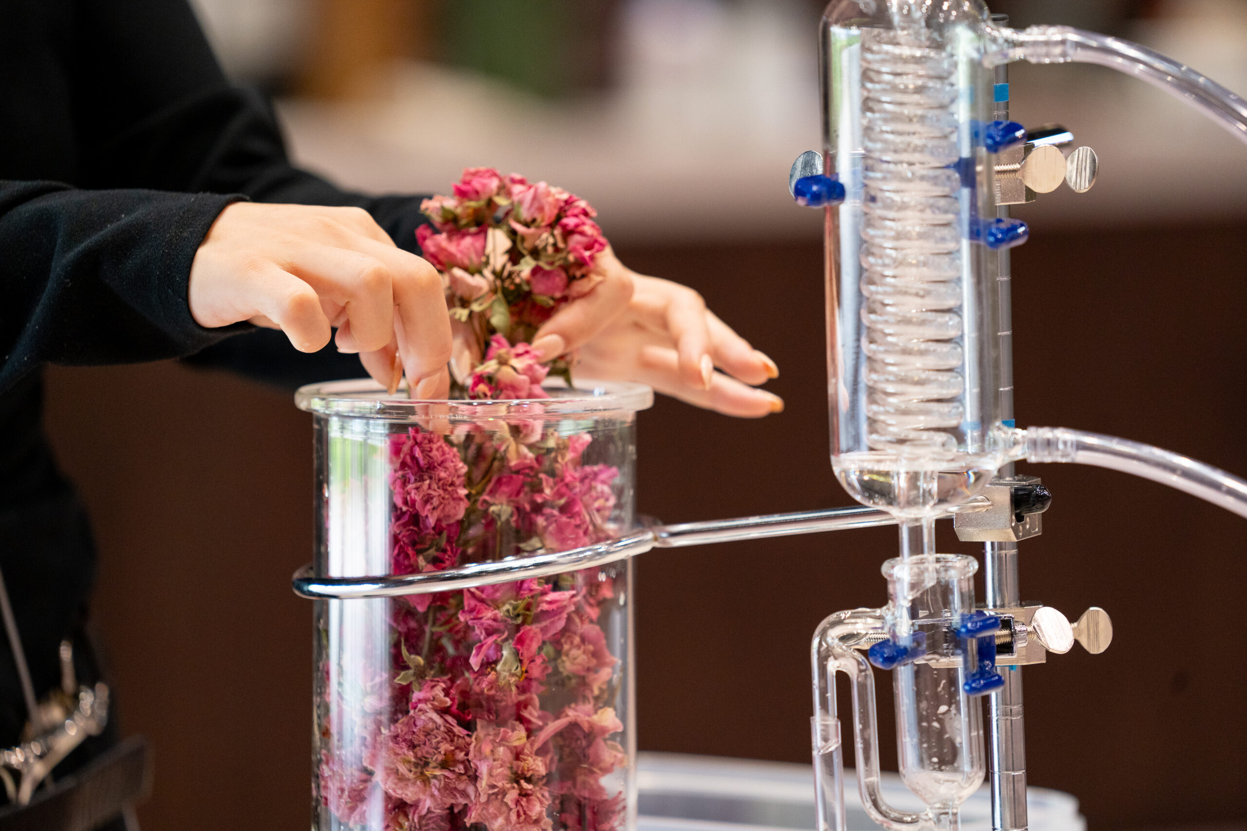 サムネイル: 春バラのアロマミスト