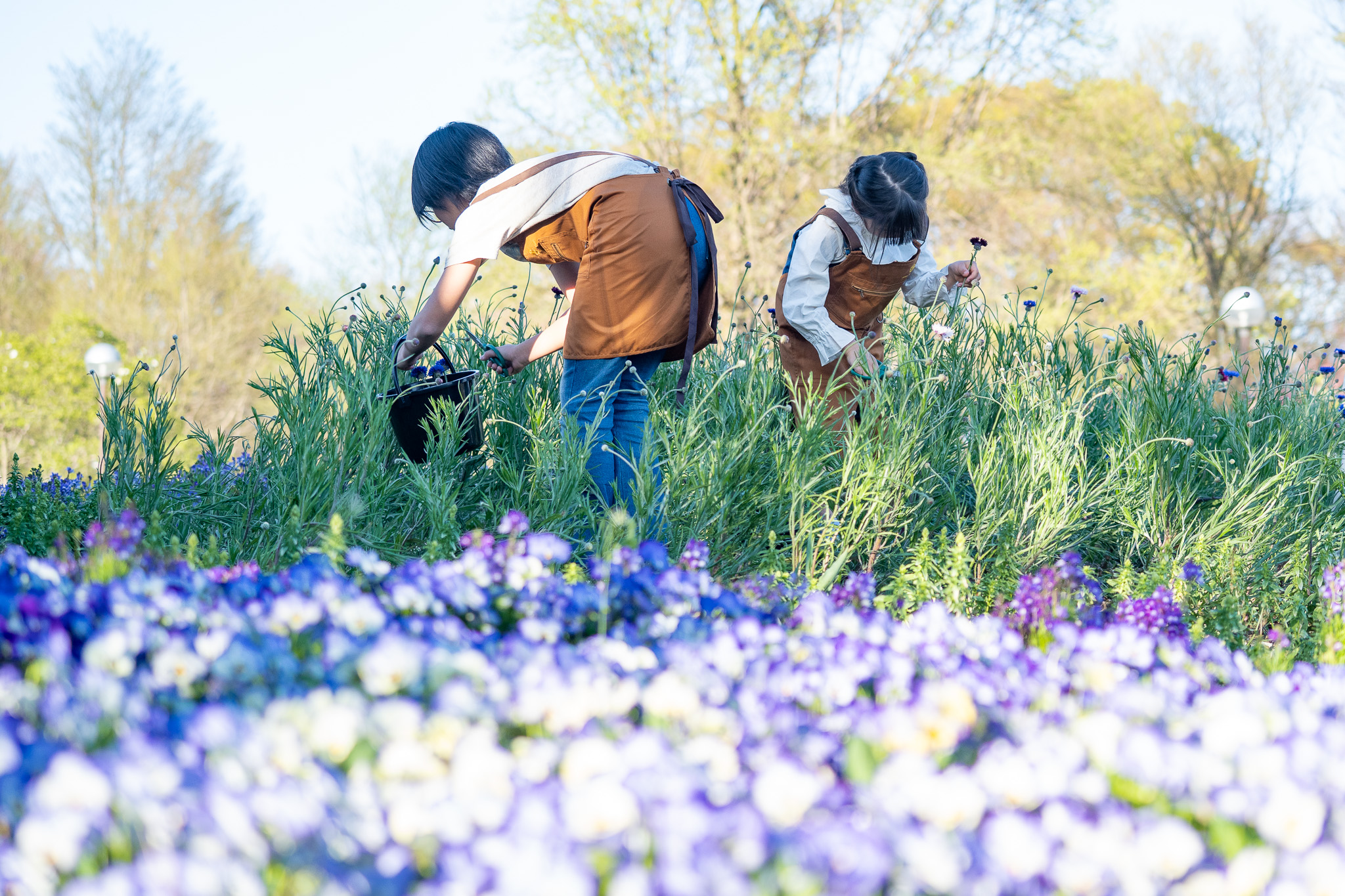 サムネイル: 【キッズマルシェ限定】お花のお土産付き！フローリストのおしごと体験