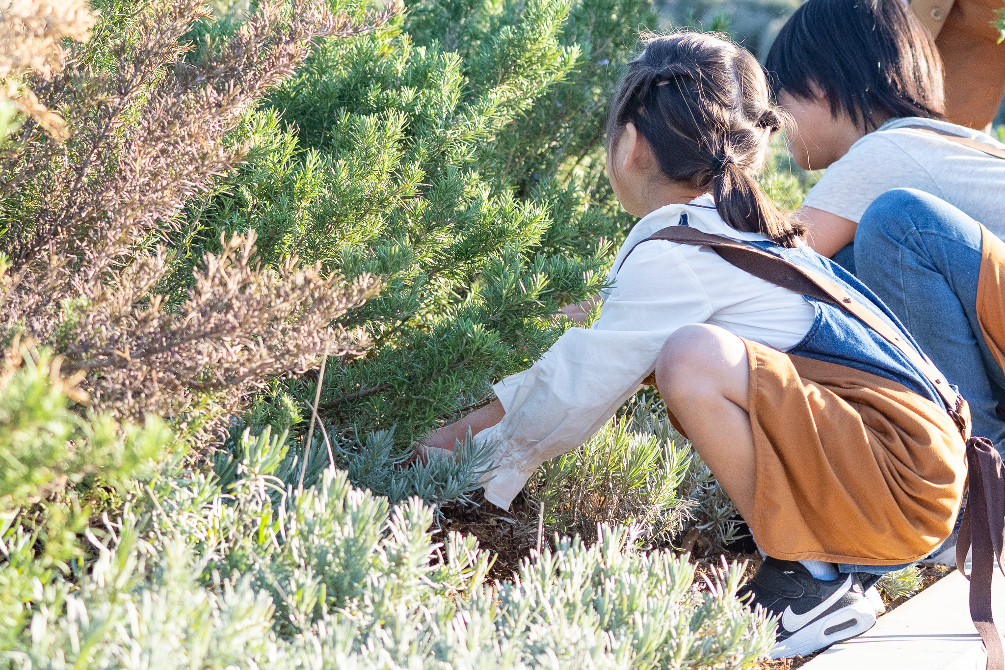 サムネイル: 野菜苗&ソフトクリームのお土産付き！ガーデナーのおしごと体験