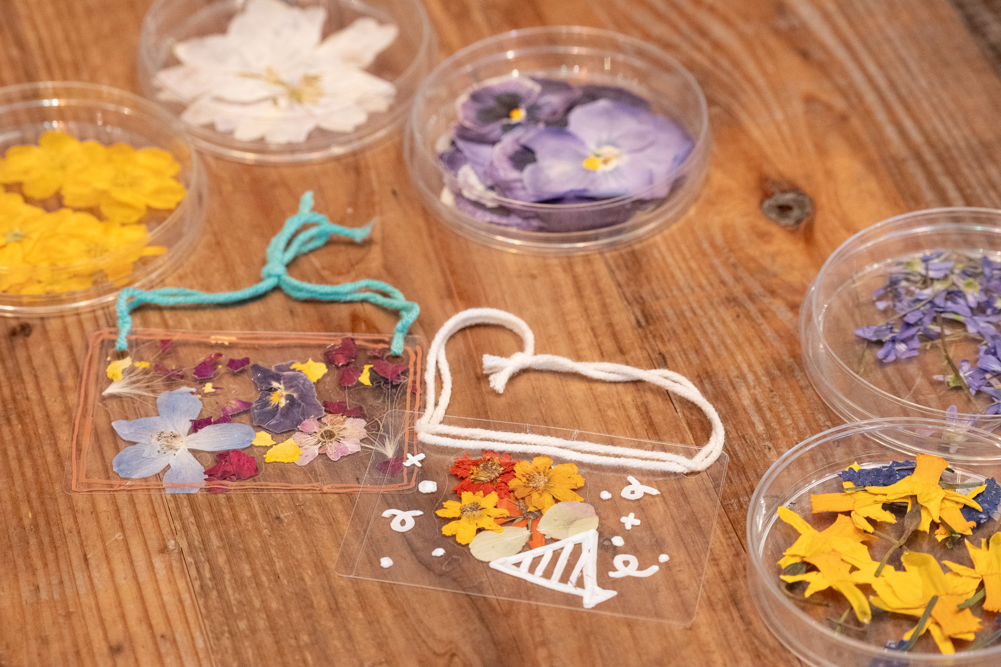 サムネイル: 【キッズマルシェ限定】ボタニカルカード