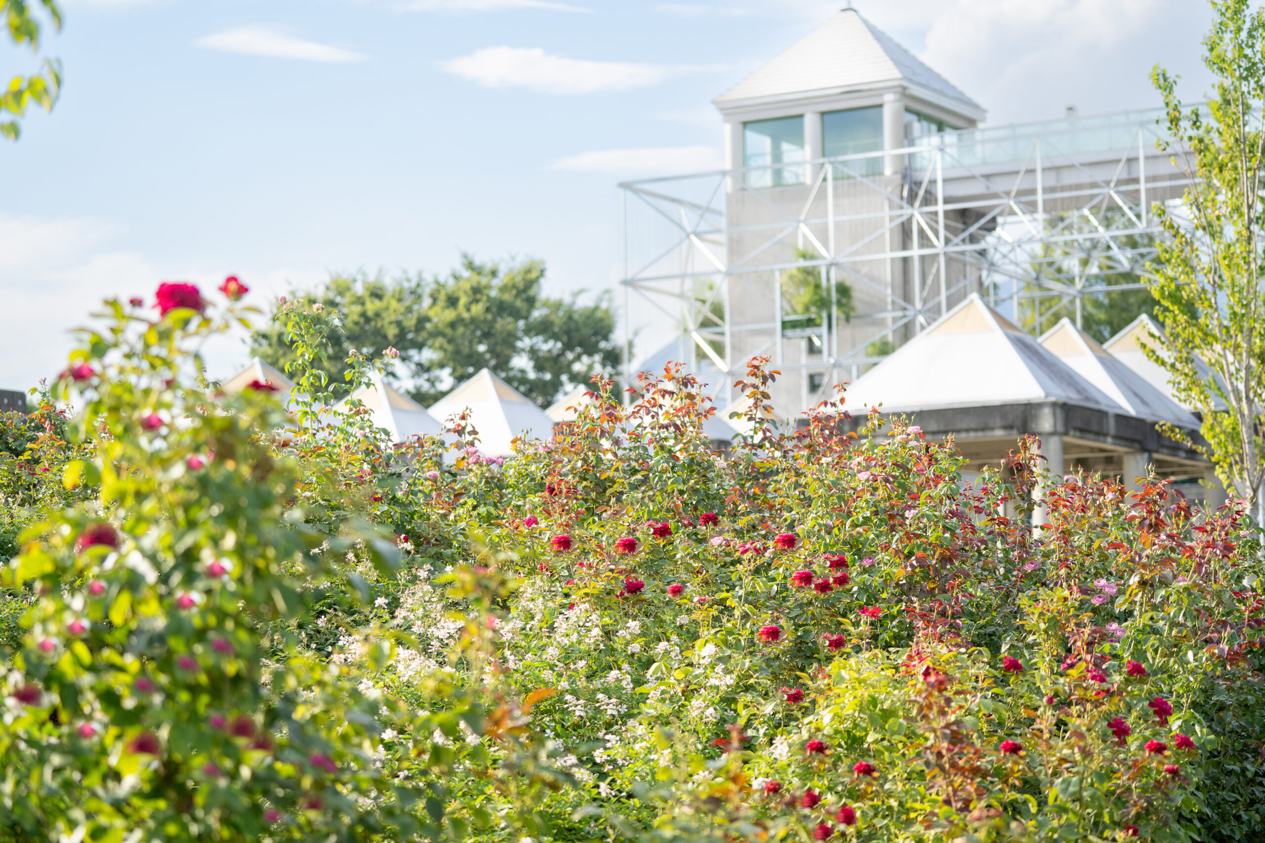 サムネイル: 団体のご予約方法が変更になります。