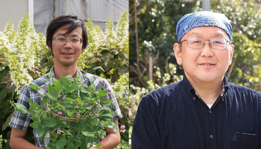 サムネイル: 生産者と園芸講師によるクレマチストーク