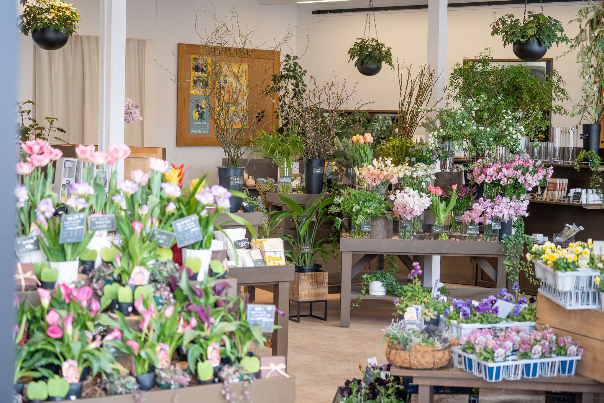 サムネイル: Gunma Flower Park+ファーマーズマーケット