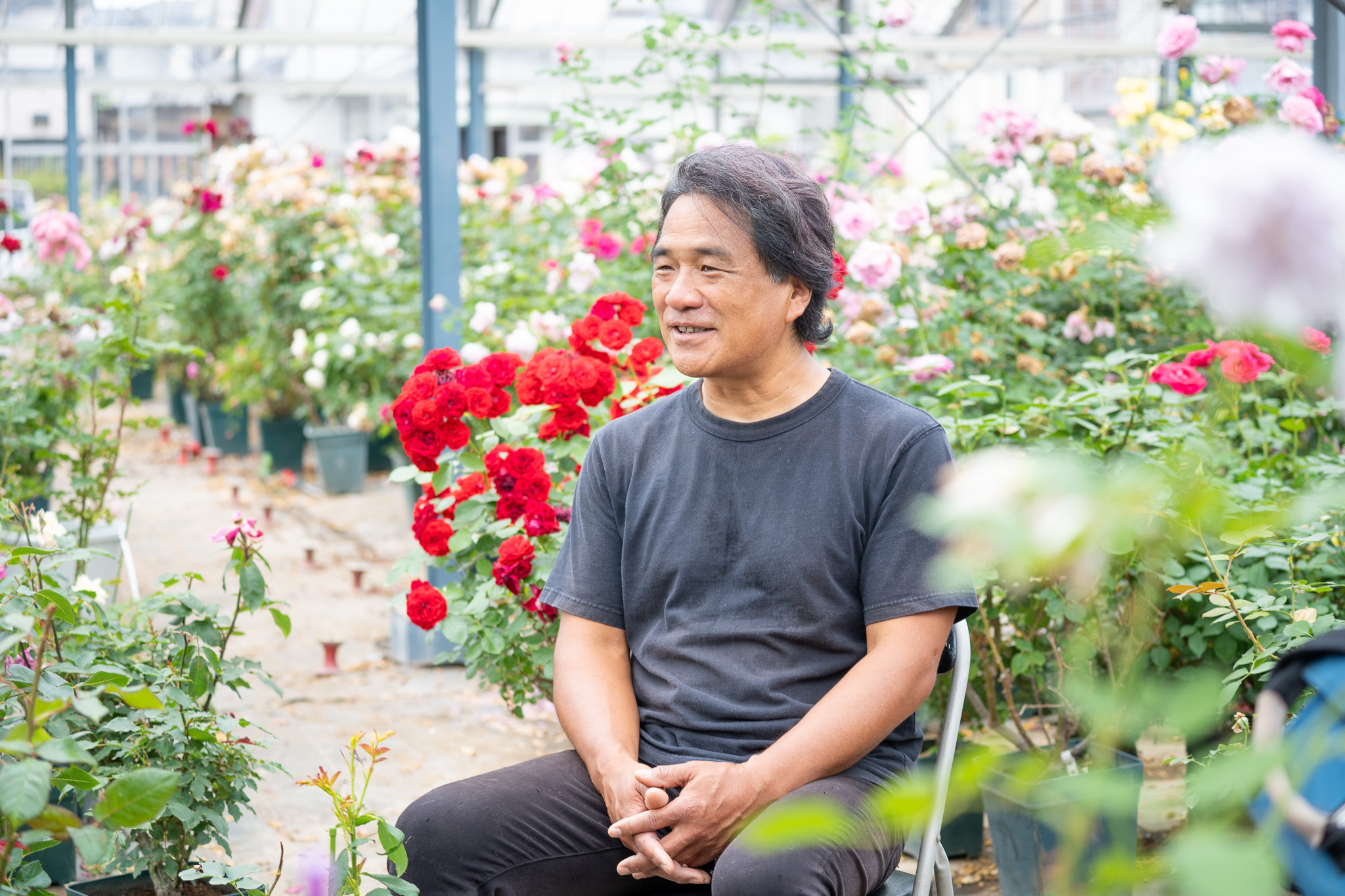サムネイル: NHKにて放送されました！&「バラの育種家 木村卓功さん」インタビュー vol.2