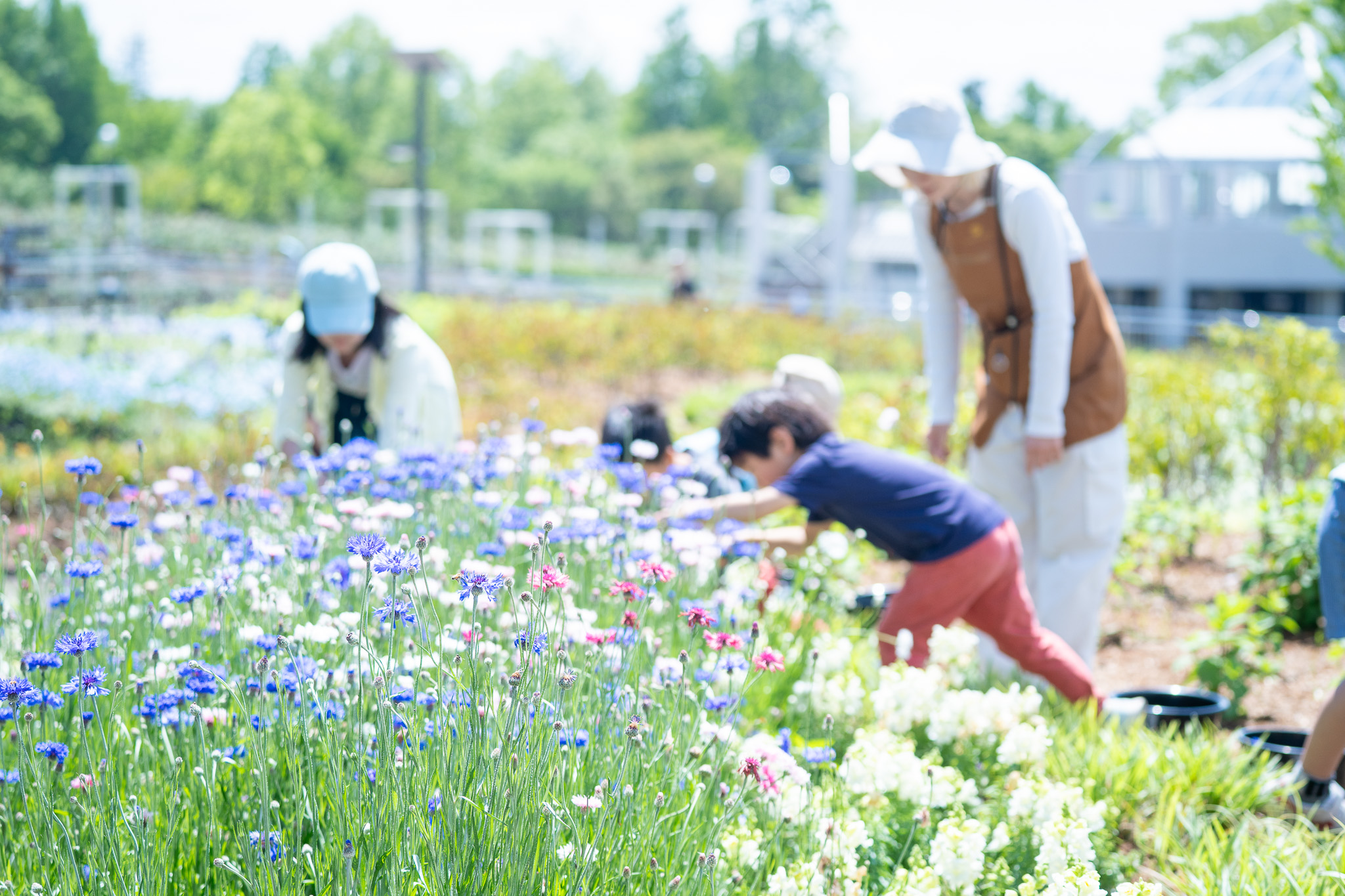 サムネイル: 夏休みキッズおしごと体験パス