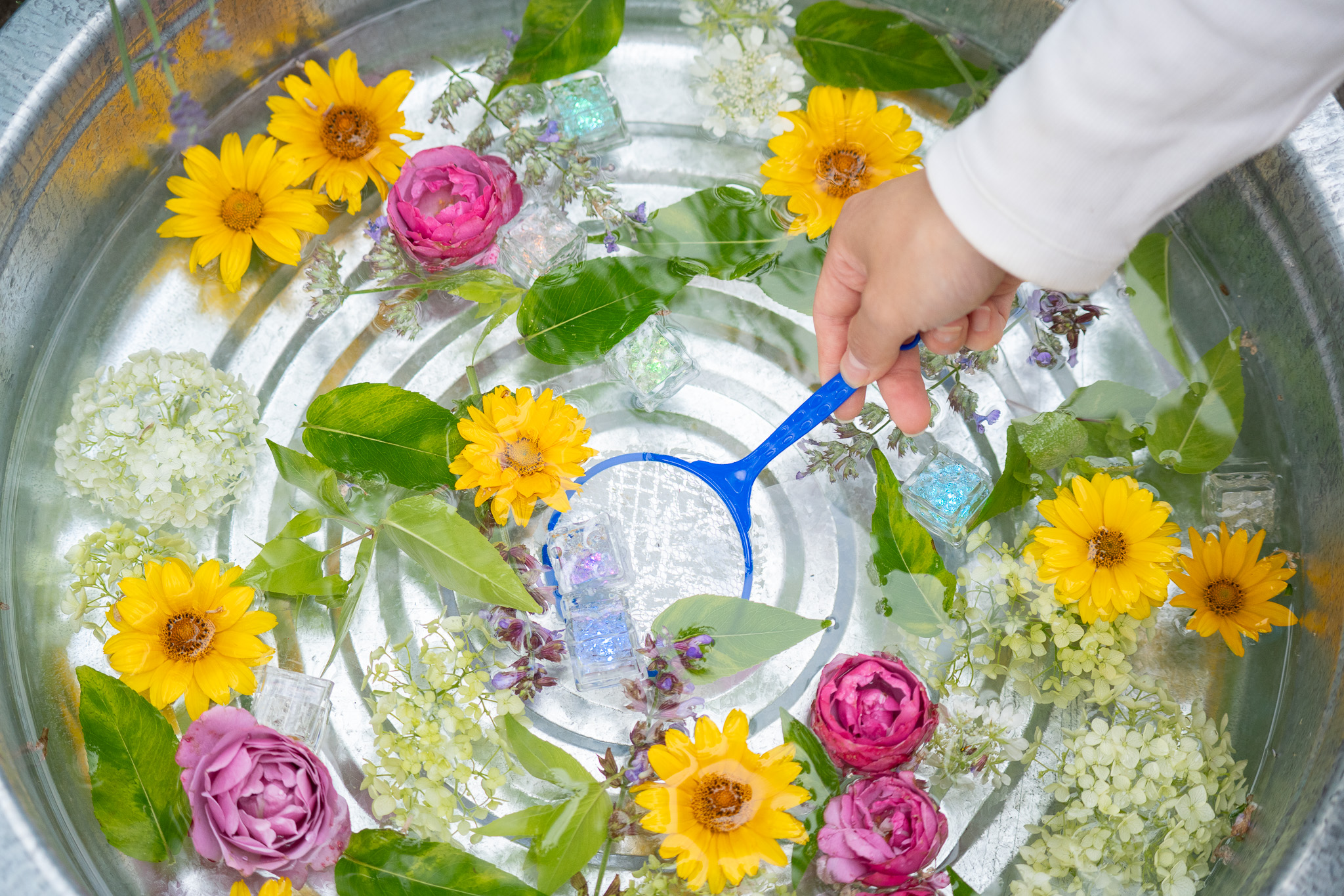 サムネイル: 【Flower Hour限定】ピカピカはなすくい